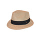 Harley Trilby